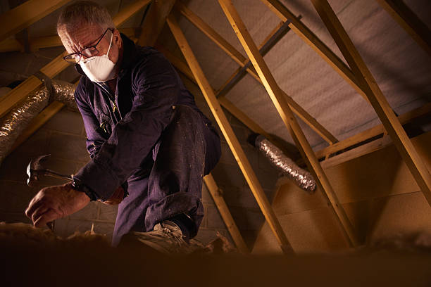 Best Insulation Installation Services in Somerville, MA